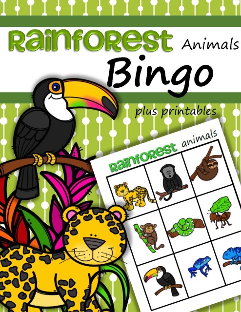 rainforest-animals-bingo