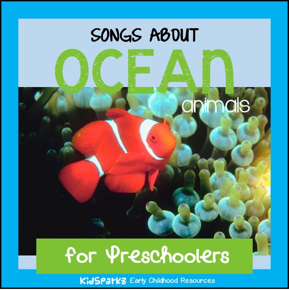 Download Songs And Rhymes About Ocean Animals For Preschool Pre K And Kindergarten Kidsparkz